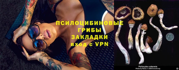 дурь Протвино